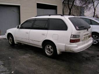 2001 Toyota Corolla Wagon