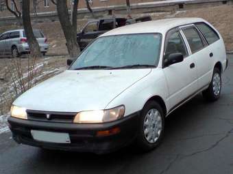 2001 Toyota Corolla Wagon