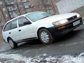 Toyota Corolla Wagon