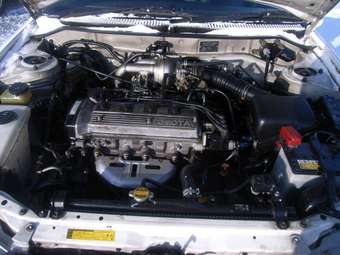 Toyota Corolla Wagon