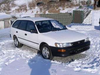 2001 Toyota Corolla Wagon