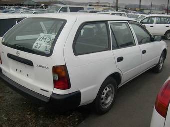 2002 Toyota Corolla Wagon Pictures