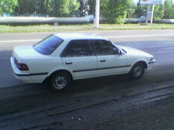 1988 Toyota Corona