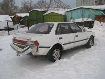 1991 Corona