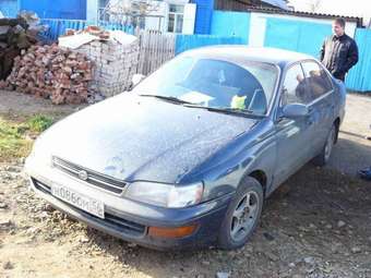 1992 Toyota Corona