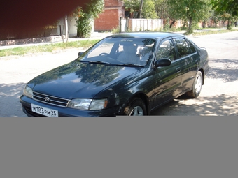 1993 Toyota Corona