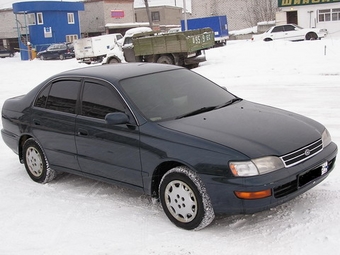 1993 Corona