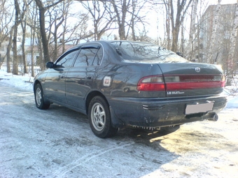 1993 Corona