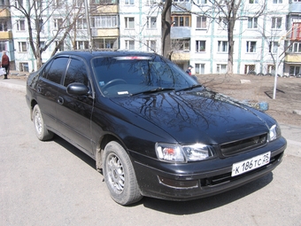 1993 Corona