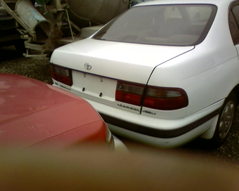 1993 Corona