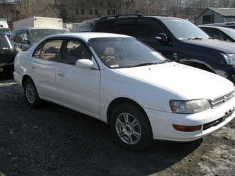 1993 Corona