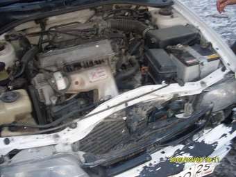 1993 Corona