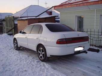 Toyota Corona