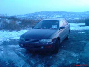 1993 Toyota Corona