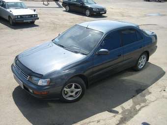 1993 Toyota Corona Pictures