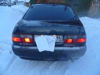 1994 Corona