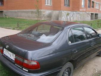 1995 Corona