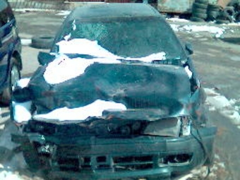 1995 Corona