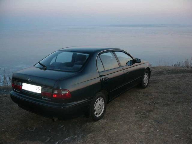 1995 Toyota Corona
