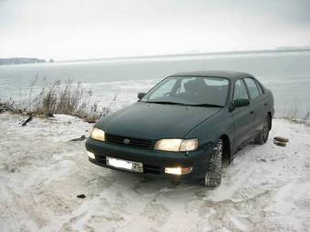 1995 Corona
