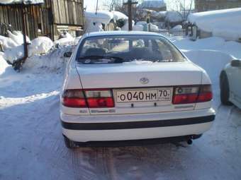 1995 Corona