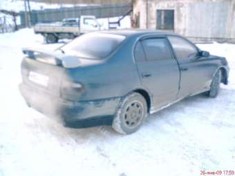 1995 Corona