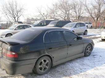 1995 Corona
