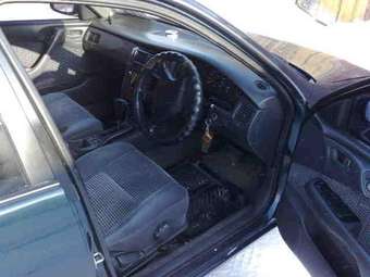 1995 Corona