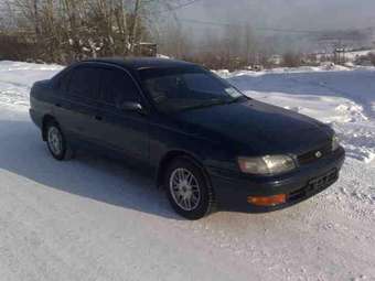 Toyota Corona