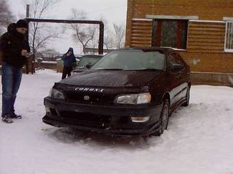 1995 Corona