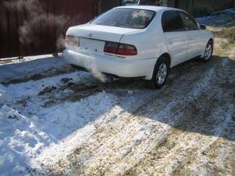 1995 Corona