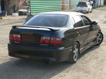 1995 Corona