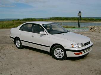 1995 Corona