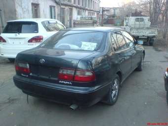 1995 Corona