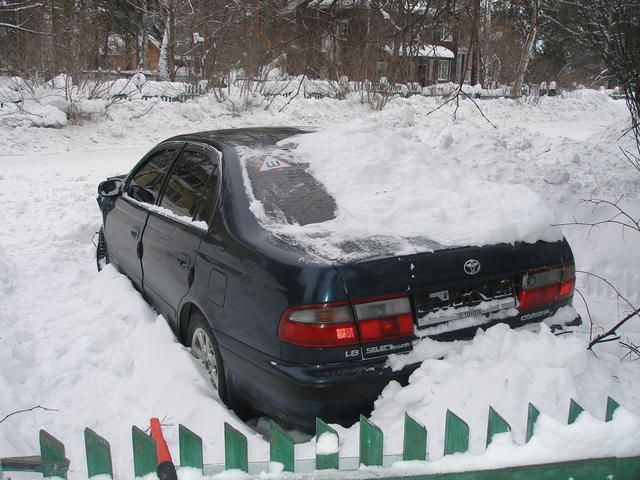 1995 Toyota Corona