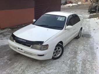 1995 Corona