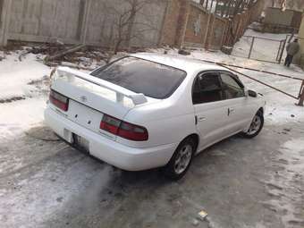 Toyota Corona