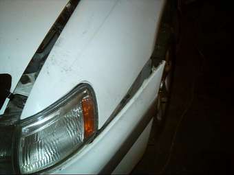 1995 Corona