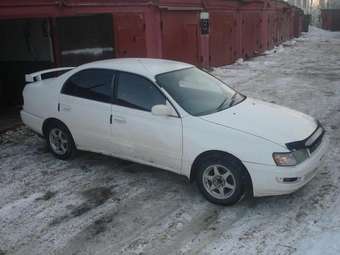 1995 Corona