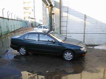 1995 Toyota Corona Photos