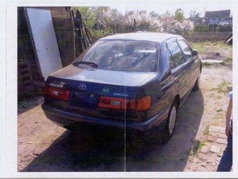 1996 Toyota Corona Pictures