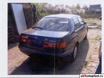 1996 Toyota Corona Photos