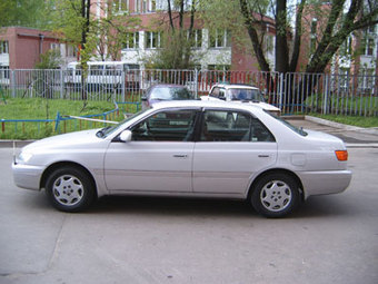 1998 Toyota Corona Pictures