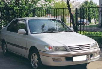 1996 Corona Premio