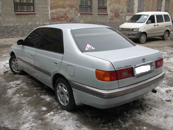 1996 Corona Premio