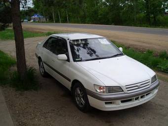 Toyota Corona Premio