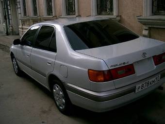 1996 Corona Premio