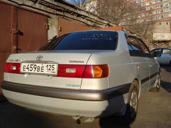 1996 Corona Premio