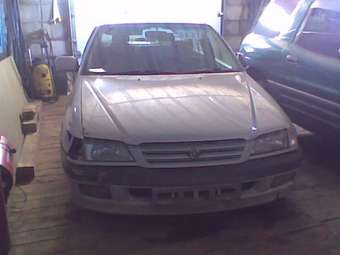 1996 Corona Premio