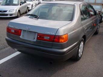 1996 Corona Premio